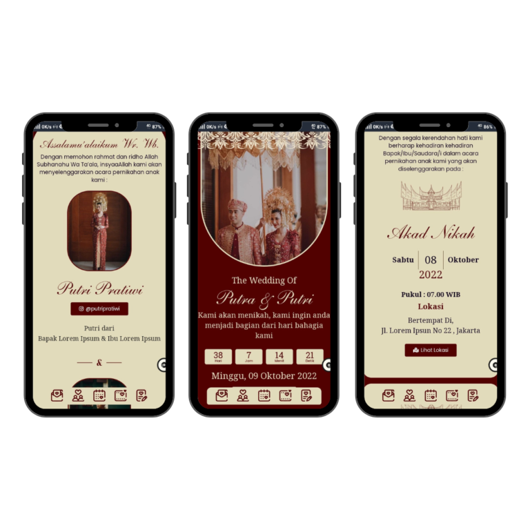 Tema Premium 12